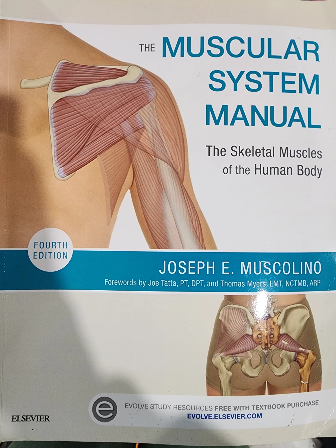 The Muscular System Manual 4th Ed.