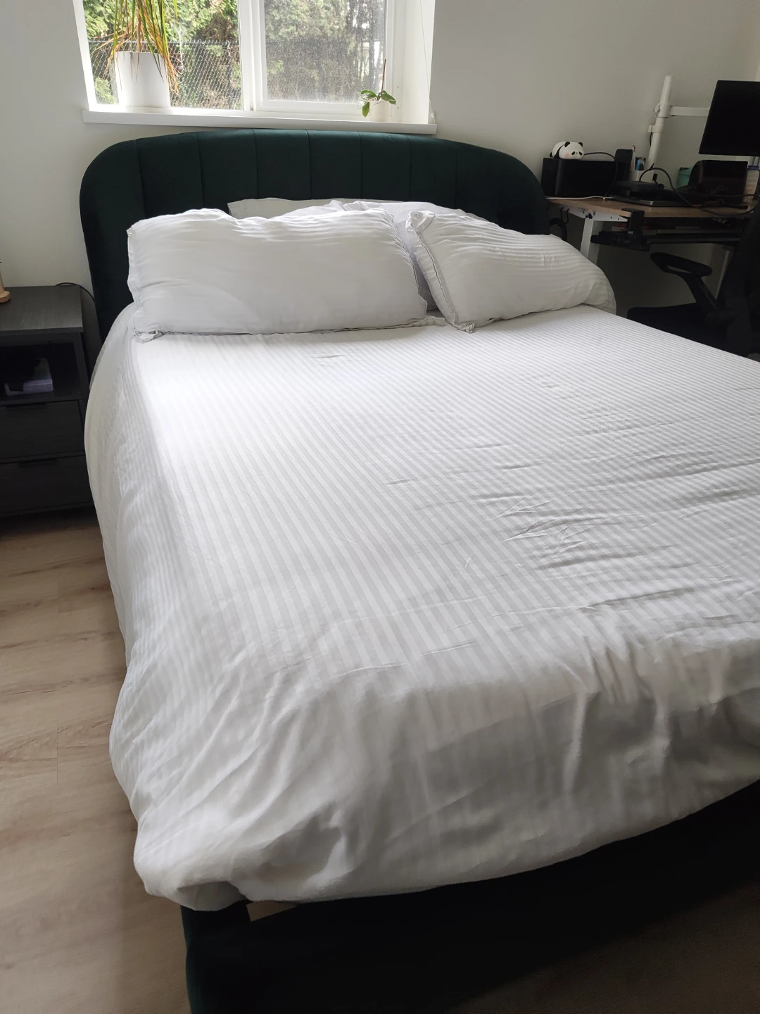 FREE Queen Bed Frame + Mattress – Pickup Only (Must Take Both) - photo 2