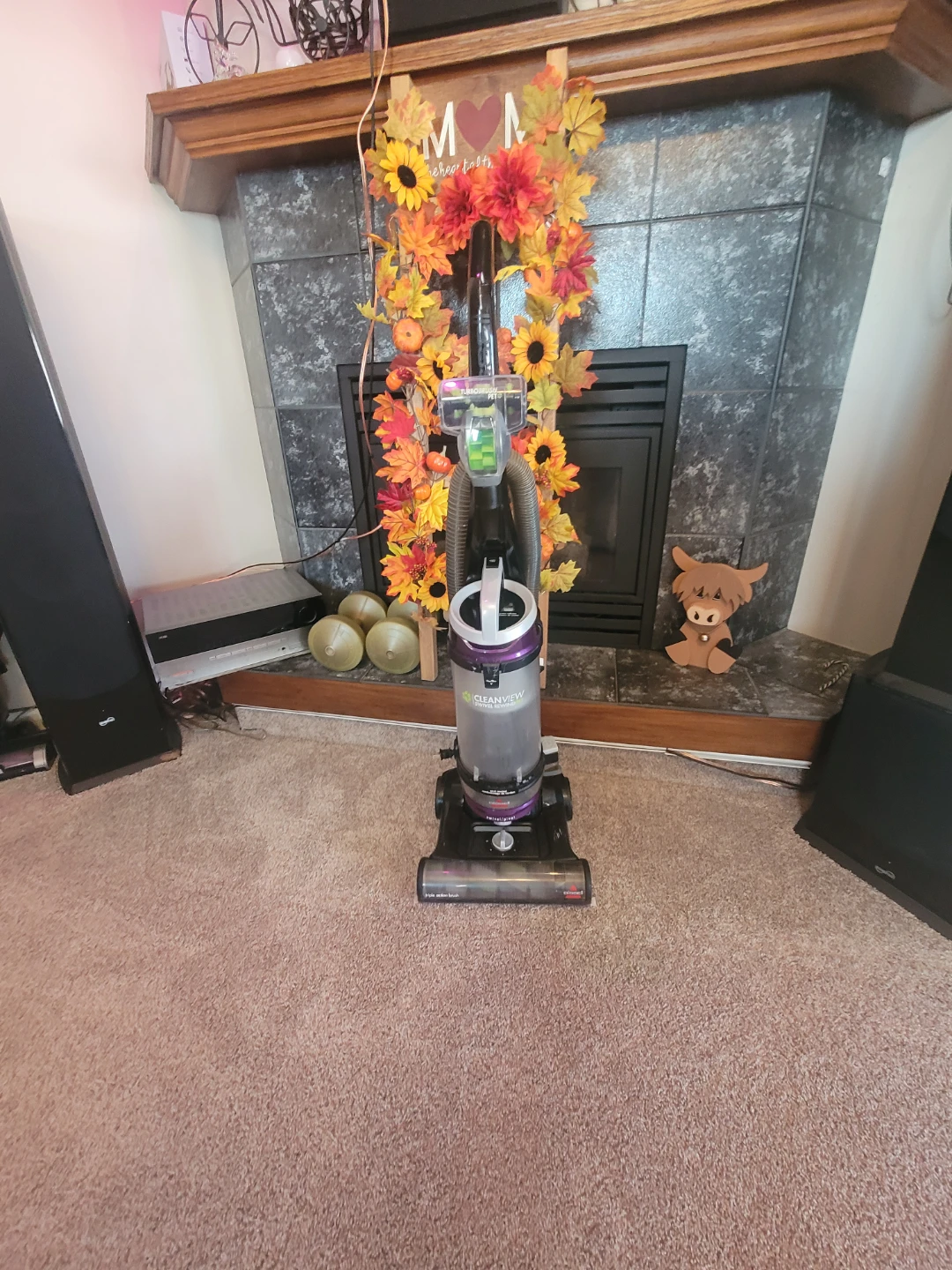 Bissell CleanView Swivel Rewind Pet Vacuum
