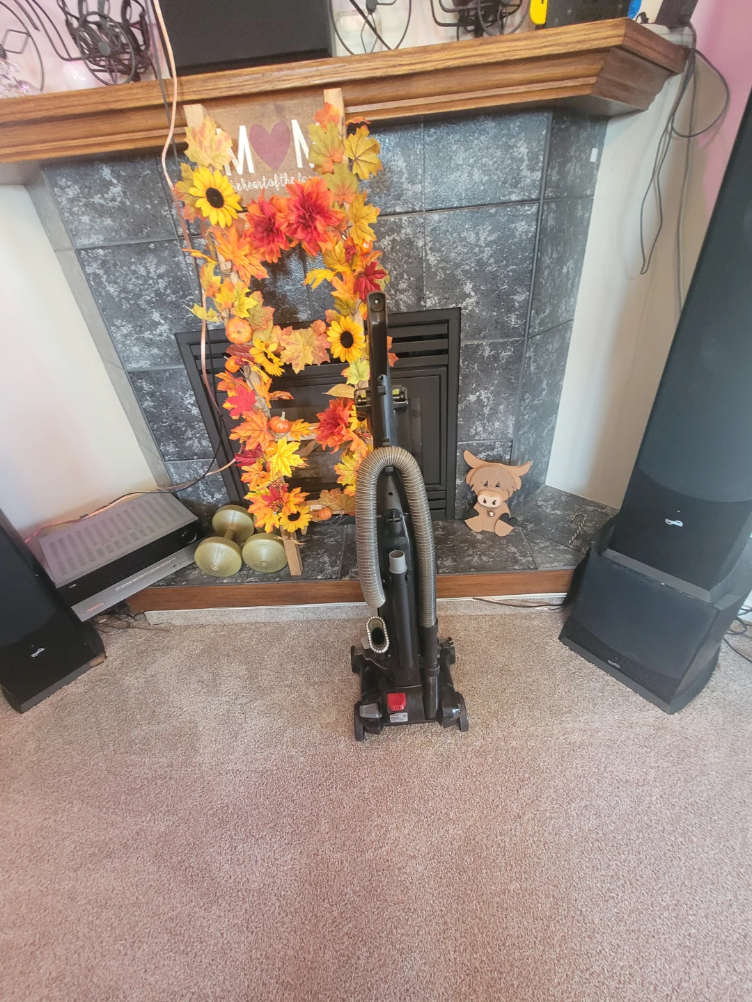 Bissell CleanView Swivel Rewind Pet Vacuum - photo 4