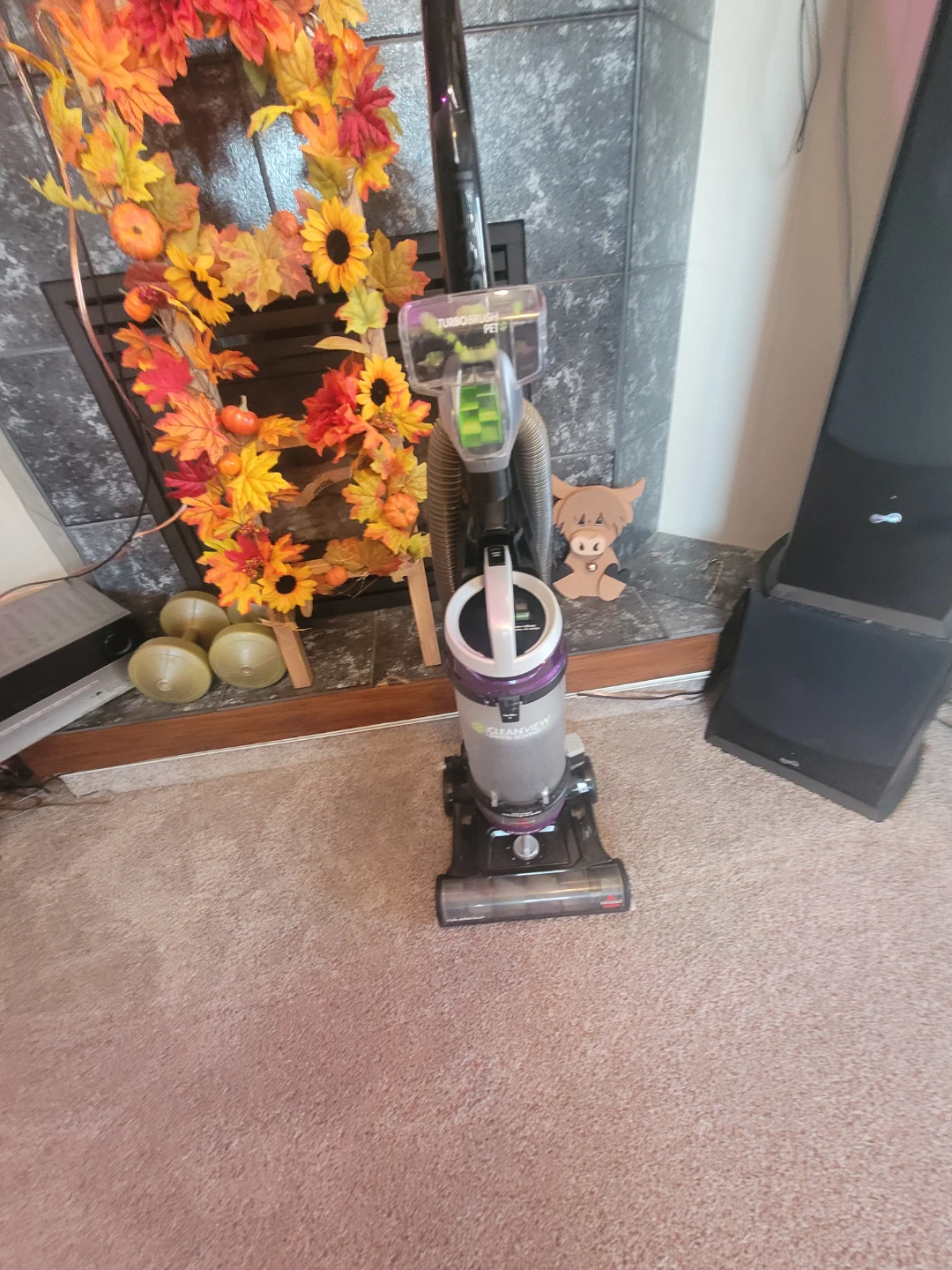 Bissell CleanView Swivel Rewind Pet Vacuum - photo 5