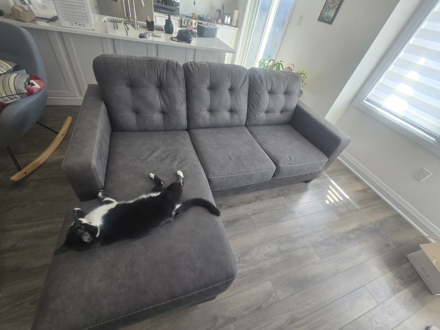 Modern Grey Sectional Sofa with Chaise – Great Condition