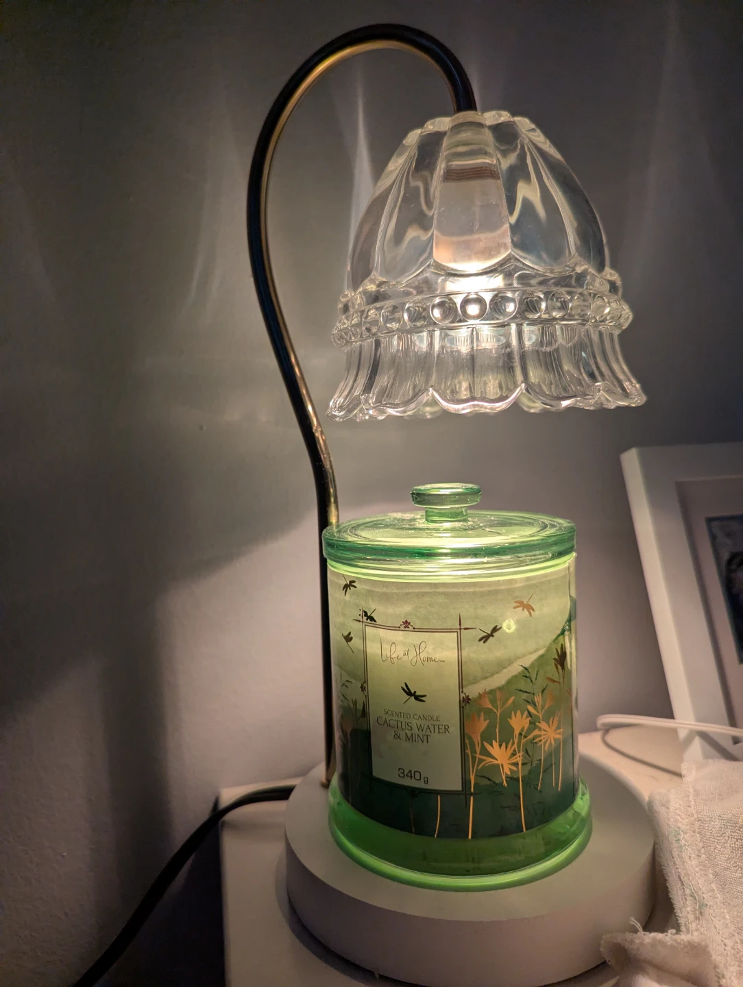 Life of the Home Scented Candle - Cactus Water & Mint