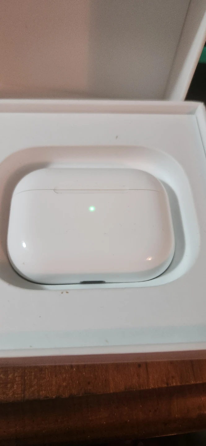 Apple AirPods Pro with Wireless Charging Case - photo 4