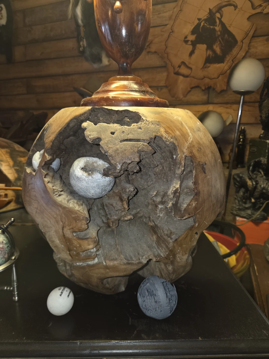 Teak burl 180 each