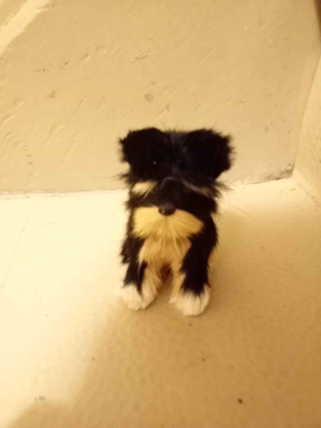 Plush dog toy