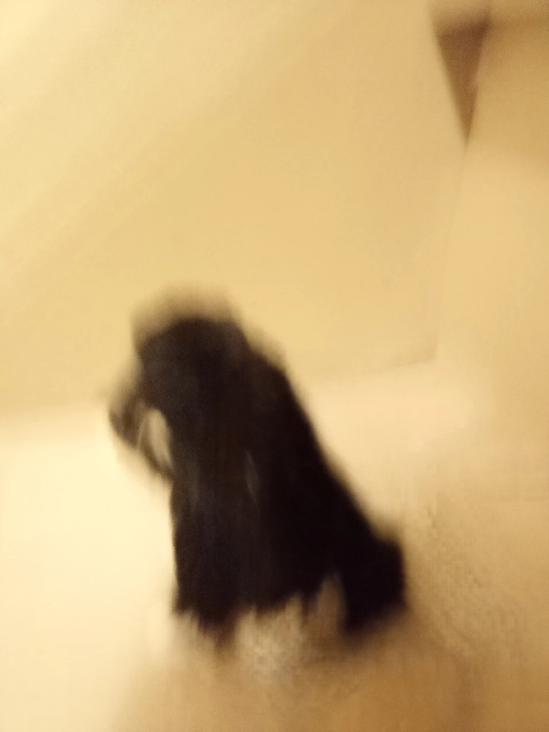 Plush dog toy - photo 3