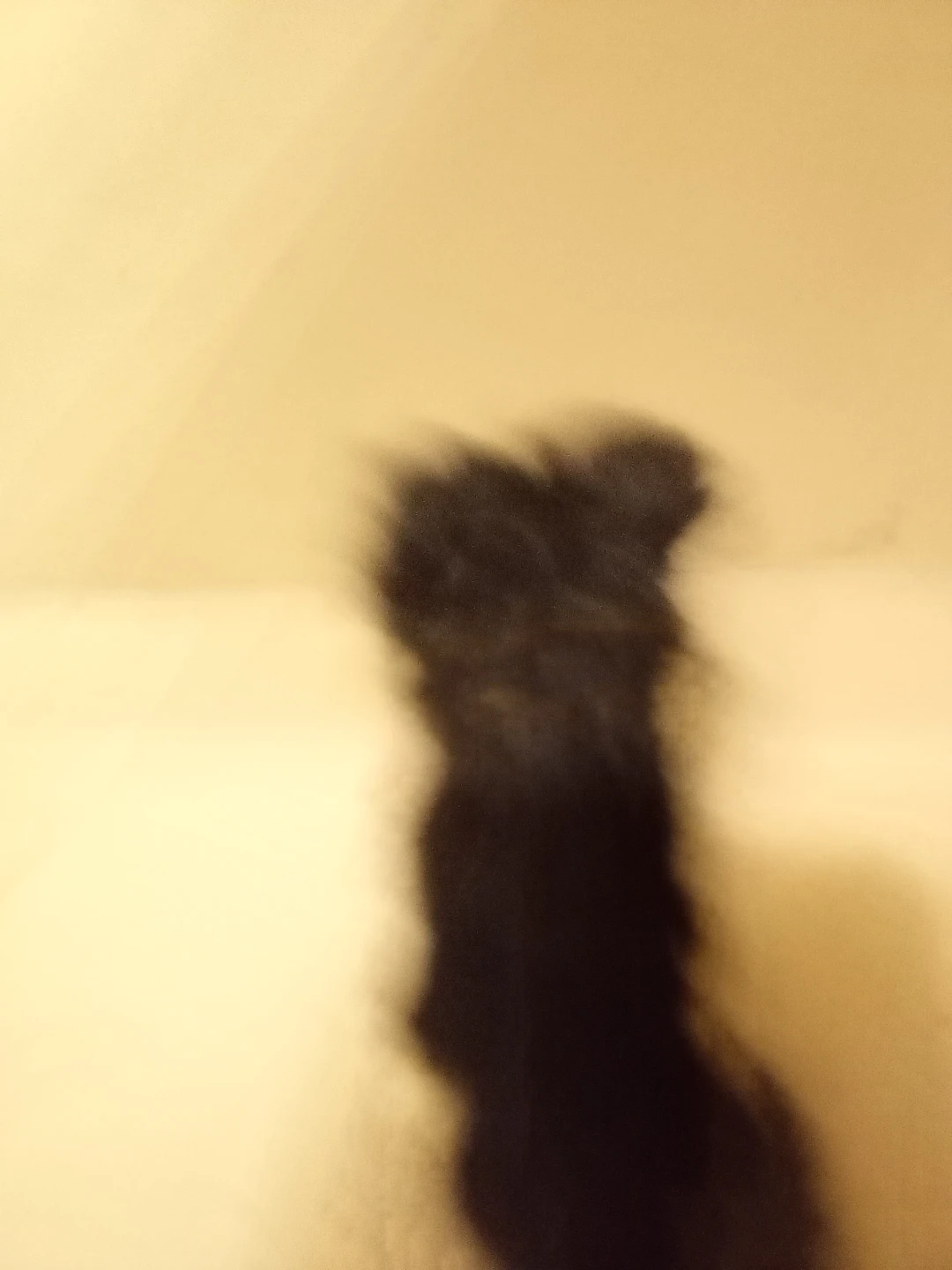 Plush dog toy - photo 4