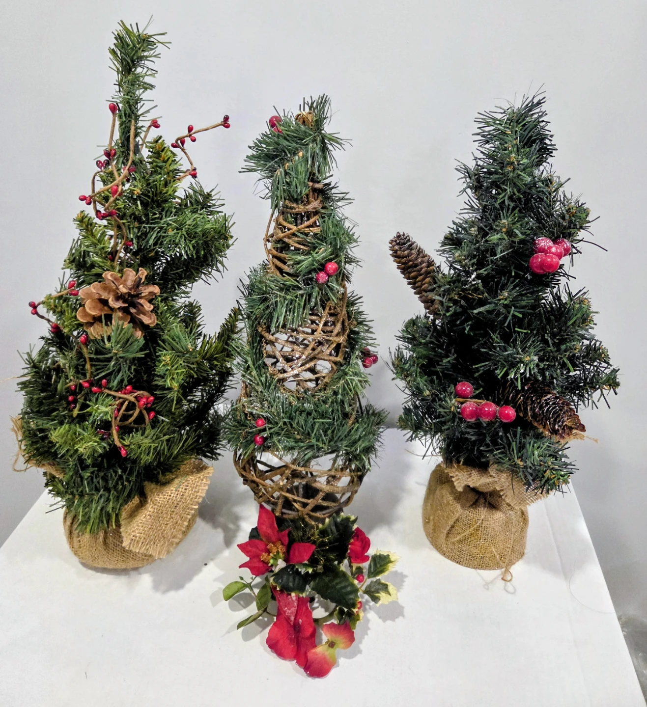 Set of 3 Decorative Christmas Trees🌱
