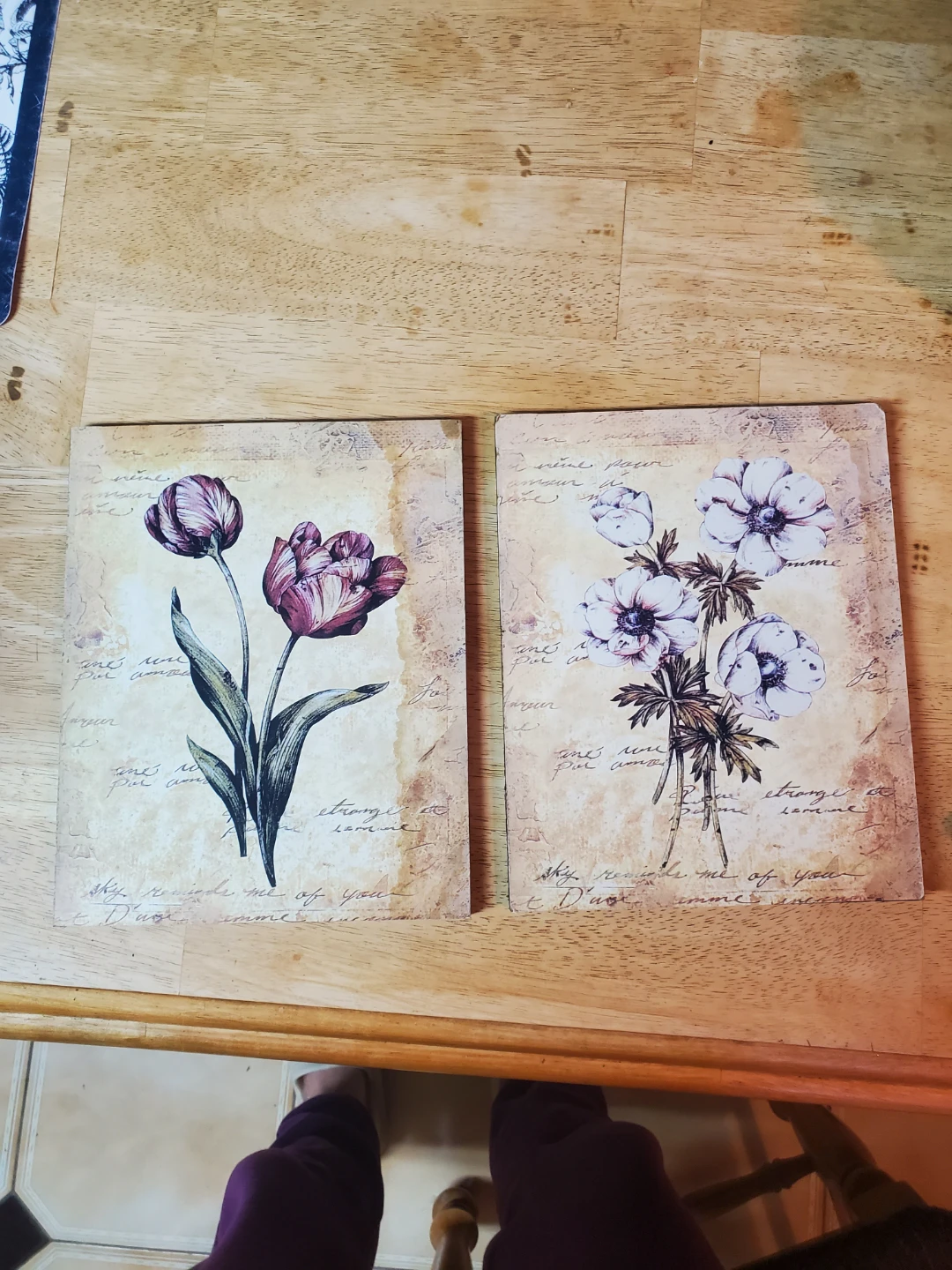 Set of 2 Vintage Floral Art Prints