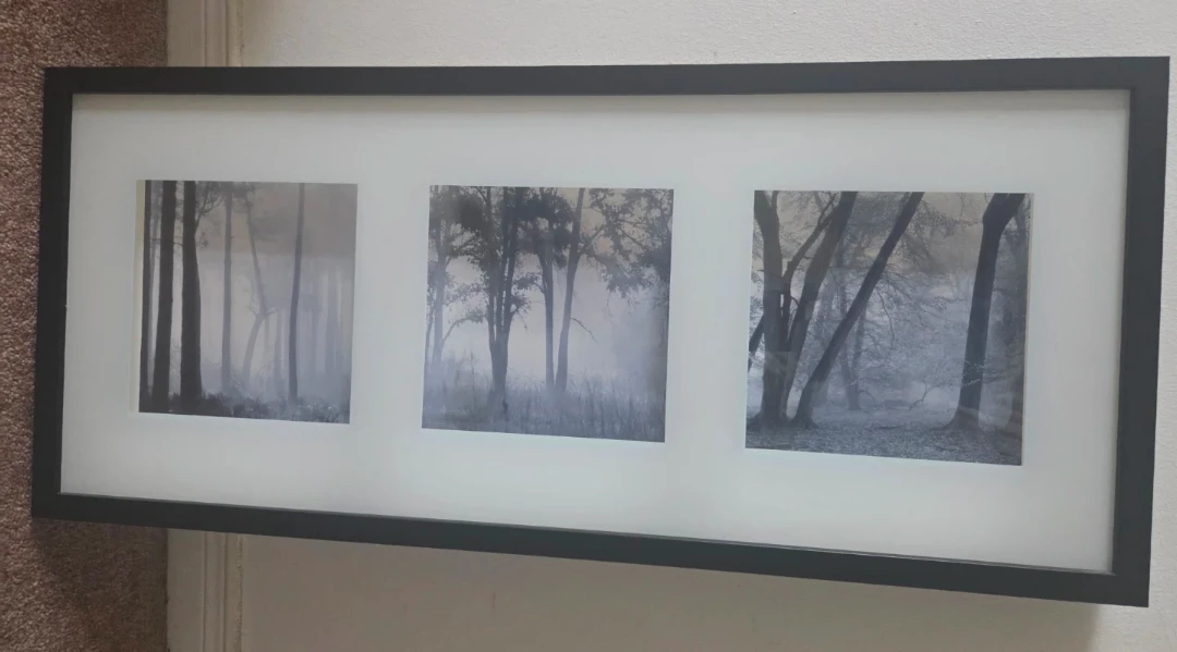 Framed Tri-Panel Forest Wall Art