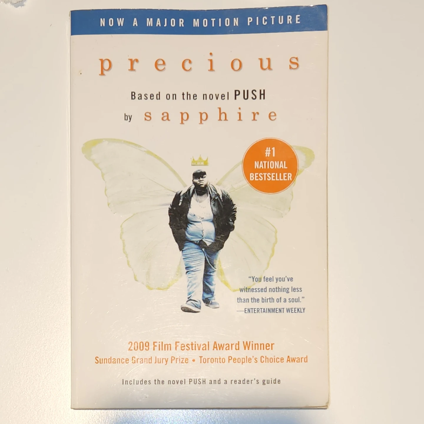 Precious by Sapphire Novel