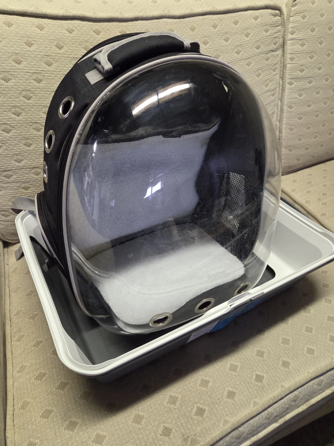 Cat Backpack and Litter Box