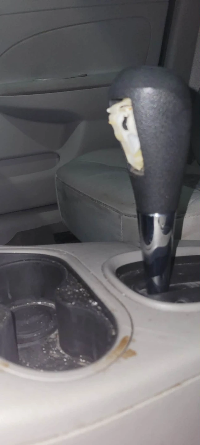 2008 Silver Chevrolet Cobalt - photo 5