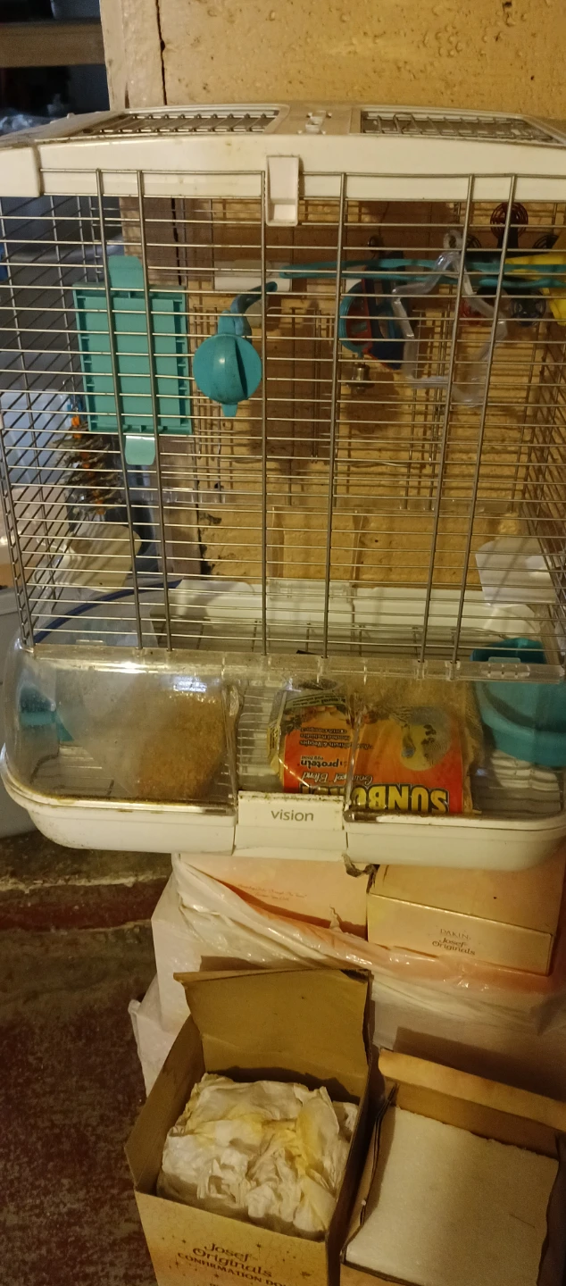 Vision Bird Cage with Perch and Swing