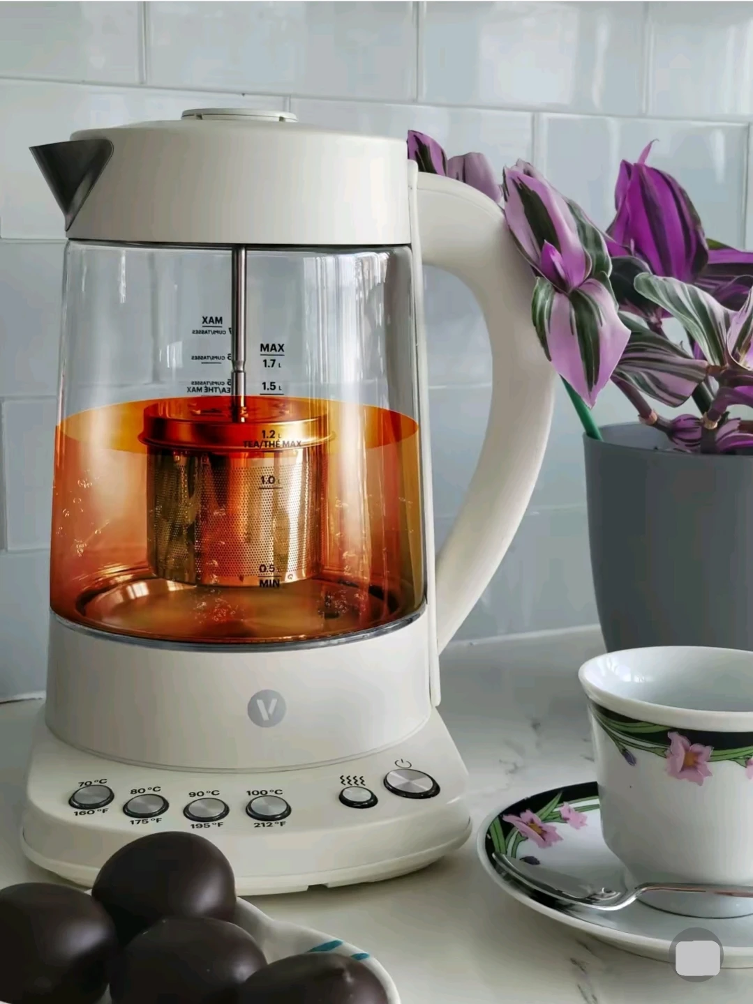 Vida Paderno 1.7L Variable Temp Electric Tea Kettle w Infuser