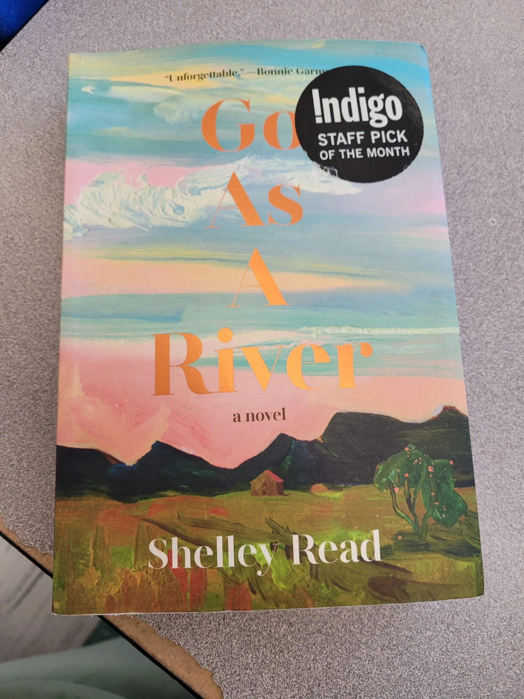 Go As A River: A Novel by Shelley Read