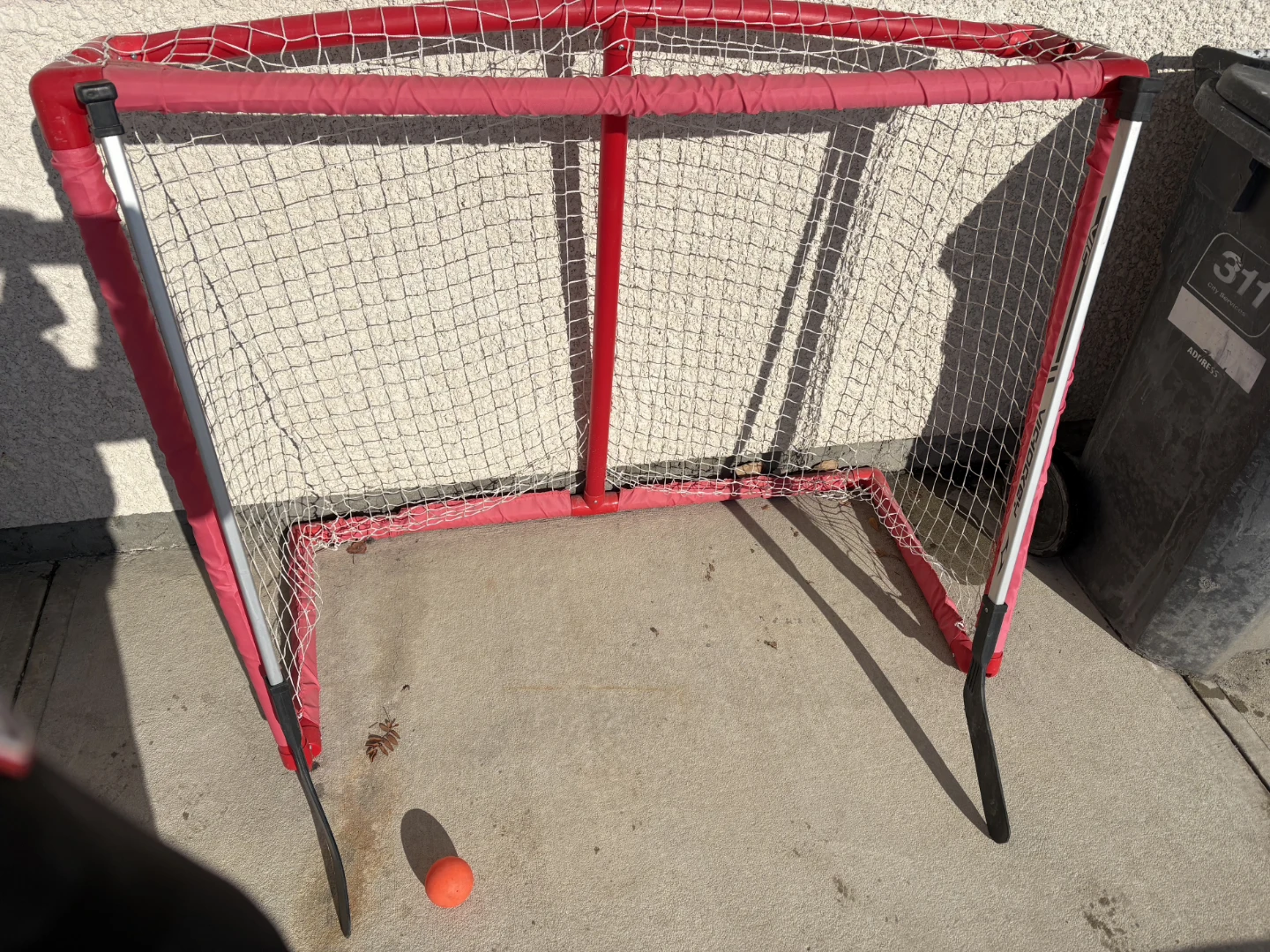 Hockey Net with Stick and Ball