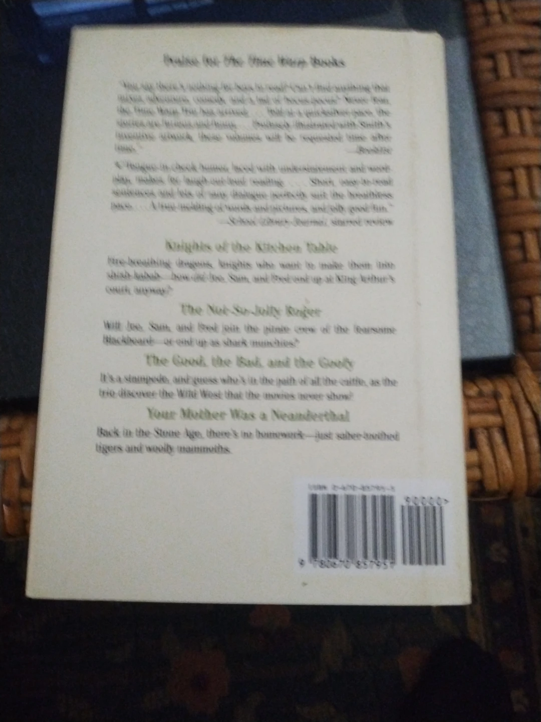 The Time Warp Trio 2095 by Jon Scieszka Book - photo 2