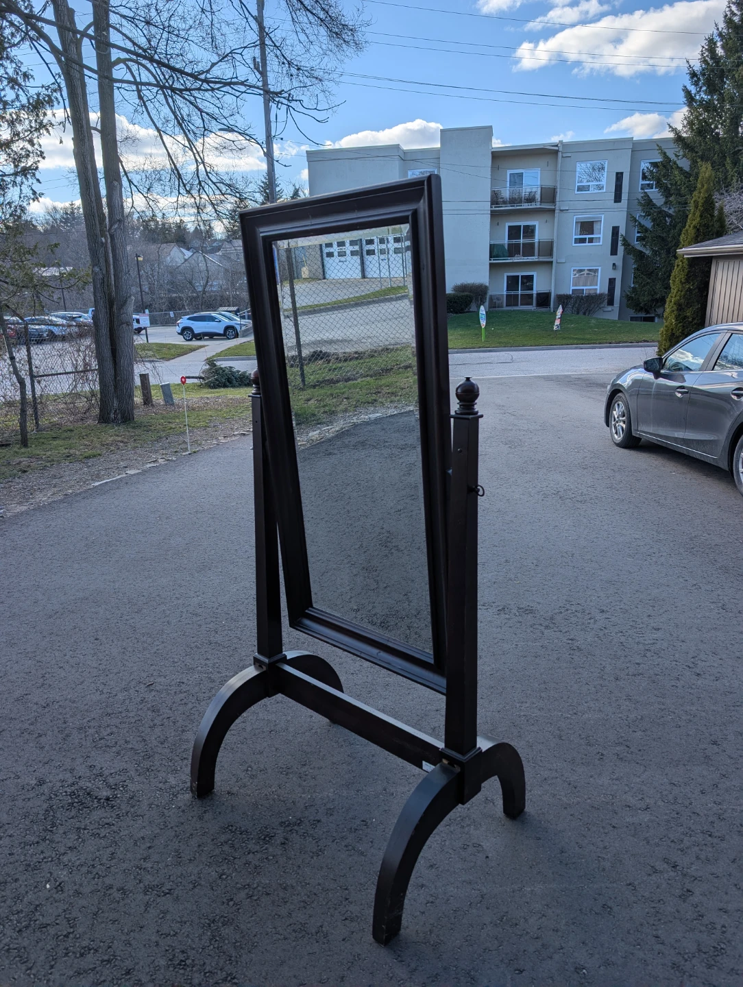Dark Wood Standing Cheval Mirror