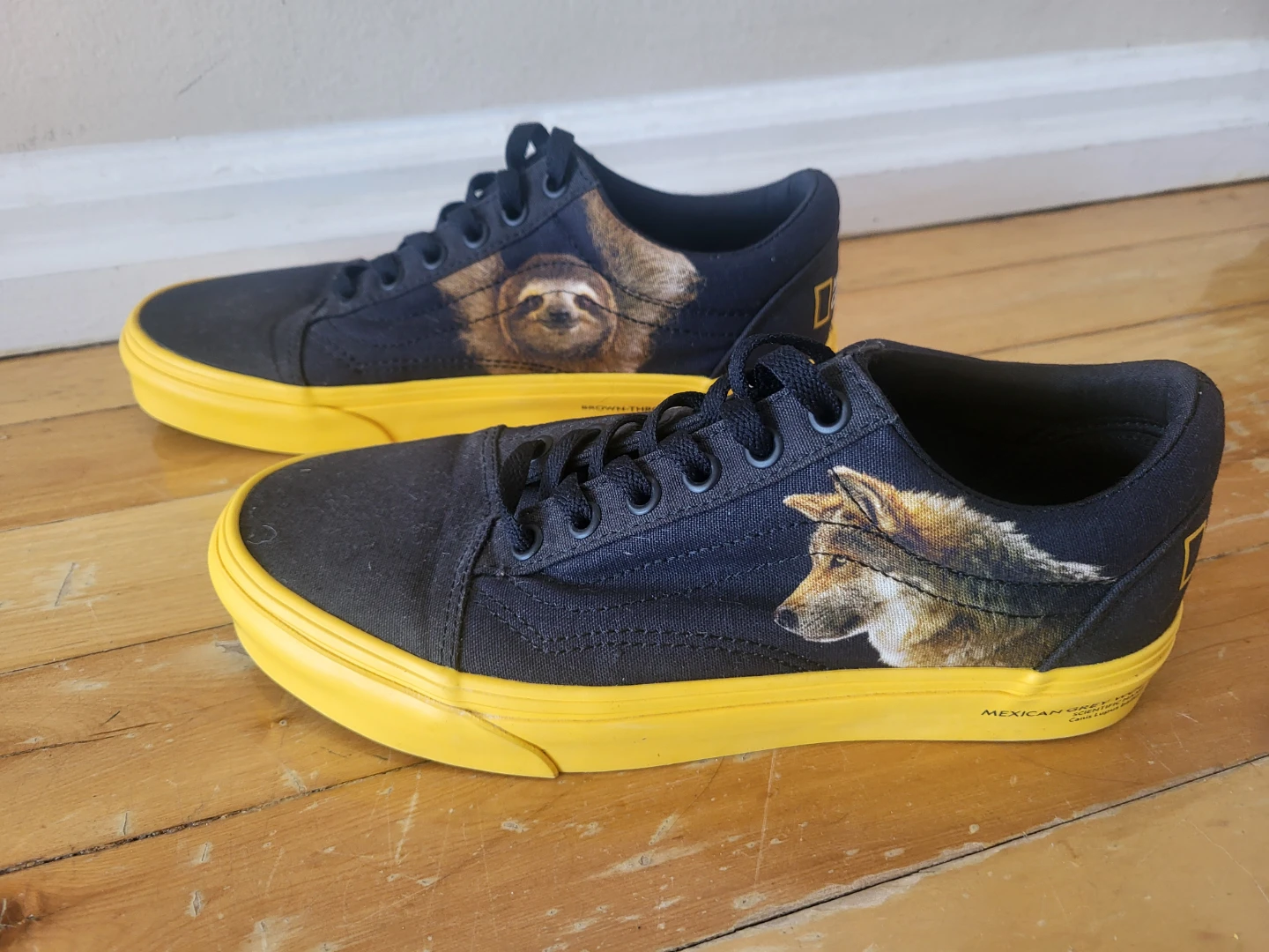 VANS National Geographic (Special Edition)