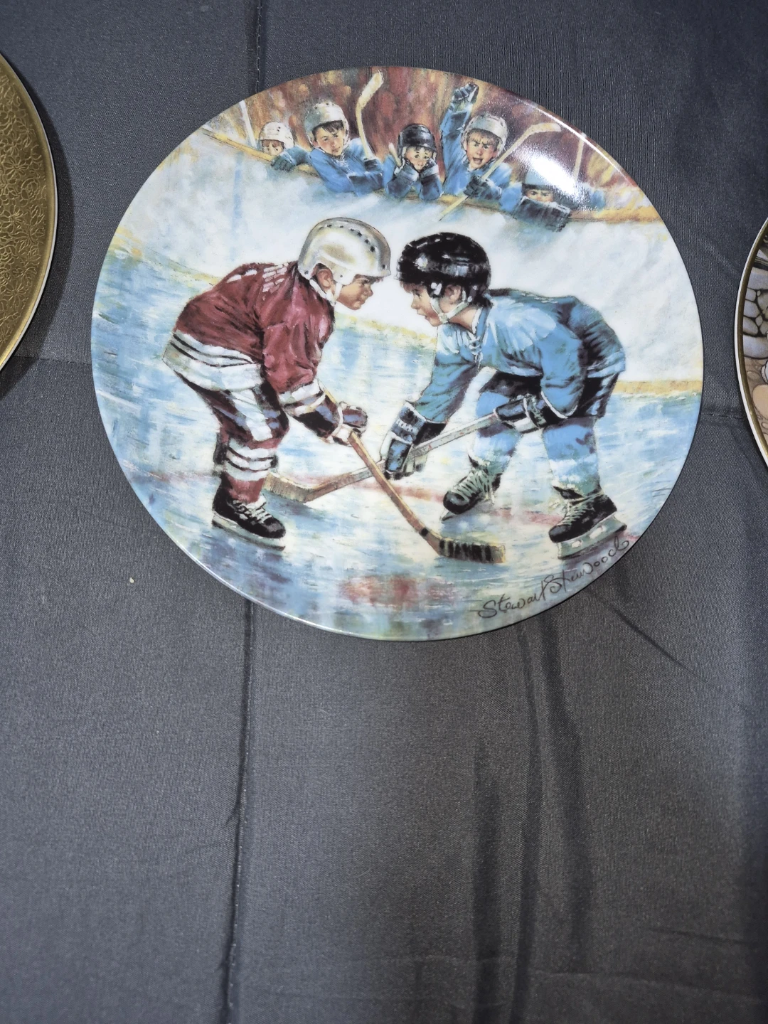 Collection of Decorative Plates - photo 3