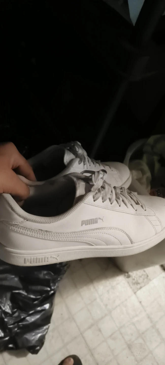 Puma White Sneakers (UK -9 AND US -10)