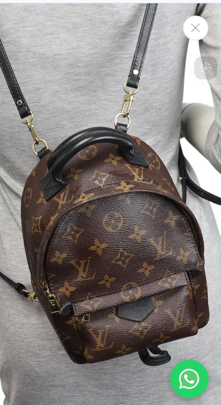 Louis Vuitton Monogram Palm Springs Mini Backpack