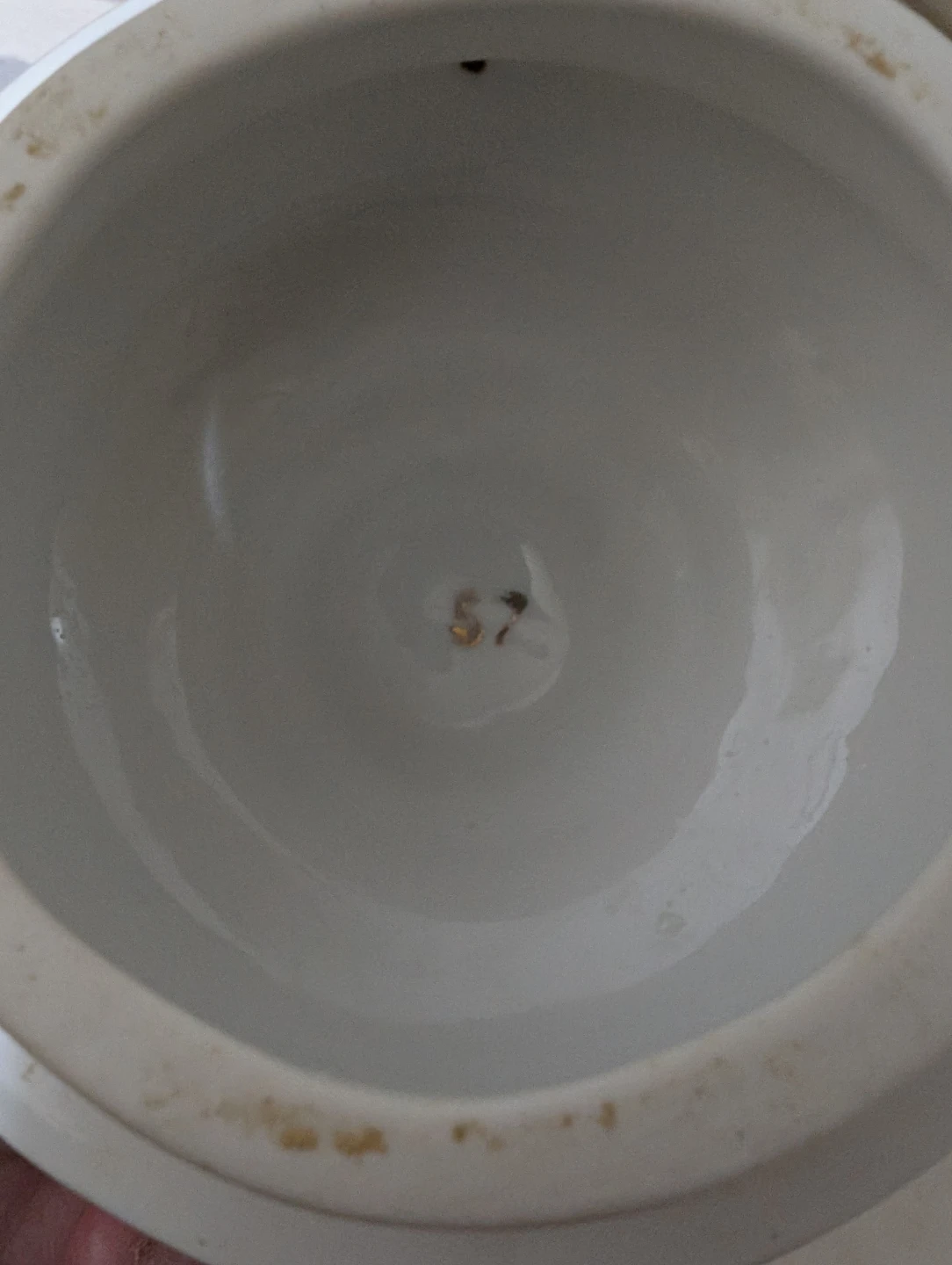 White Porcelain Teapot with Gold Trim - photo 5