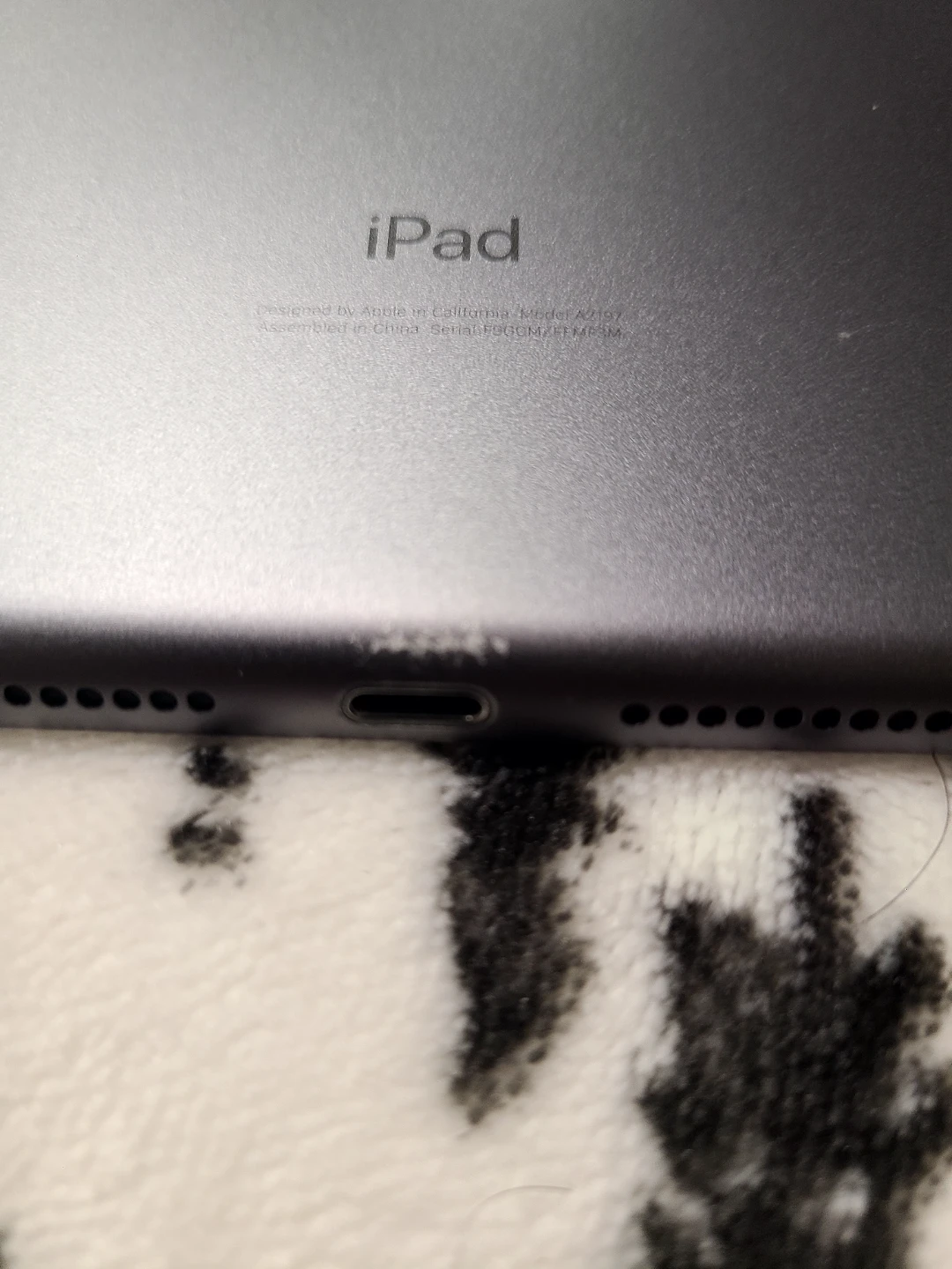 Apple iPad 10.2" (32GB) + Case – Works Perfectly - photo 2