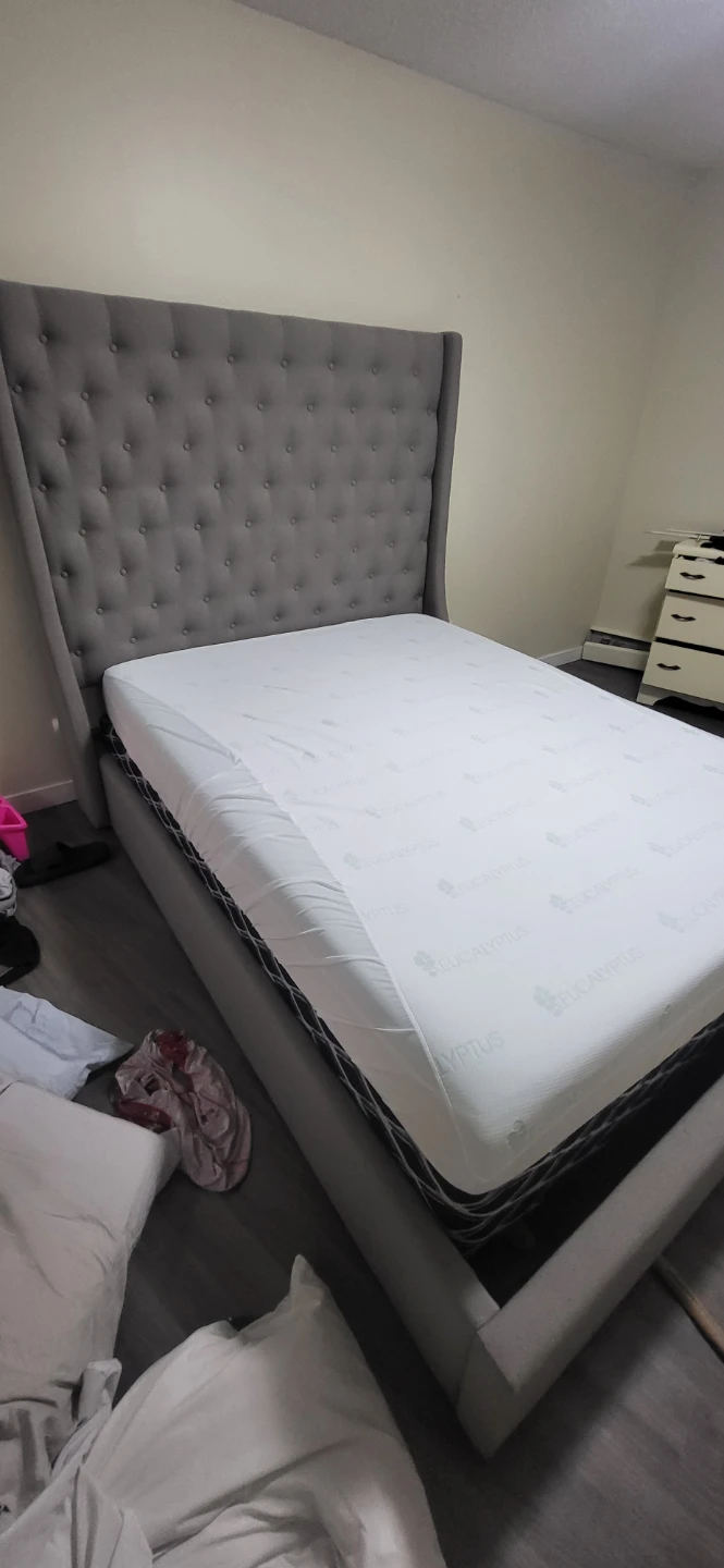 Queen bed and bed frame - photo 3