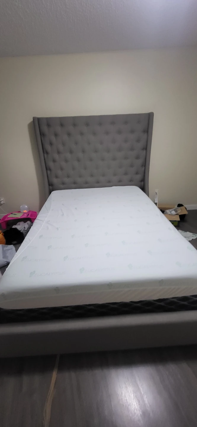Queen bed and bed frame - photo 4
