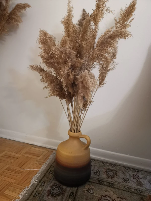Decorative Dried Pampas Grass in Ceramic Vase