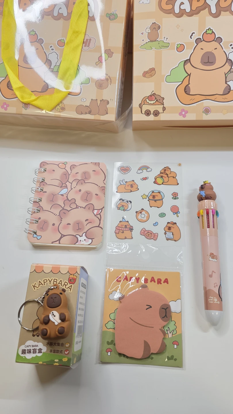 Goodie bag Capybara Stationery Gift Set - photo 3