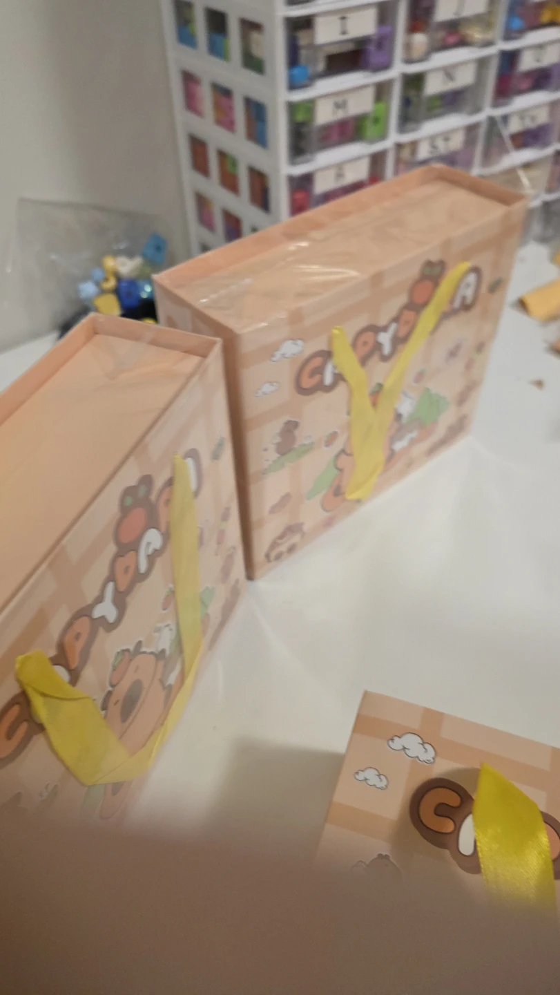 Goodie bag Capybara Stationery Gift Set - photo 4