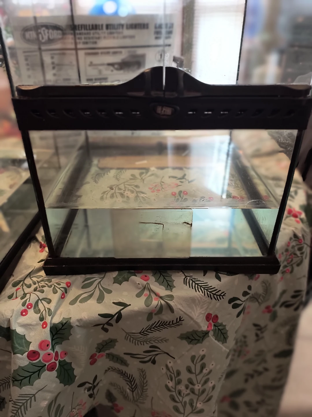 Glass Terrarium Tank with Front Opening Doors - photo 3