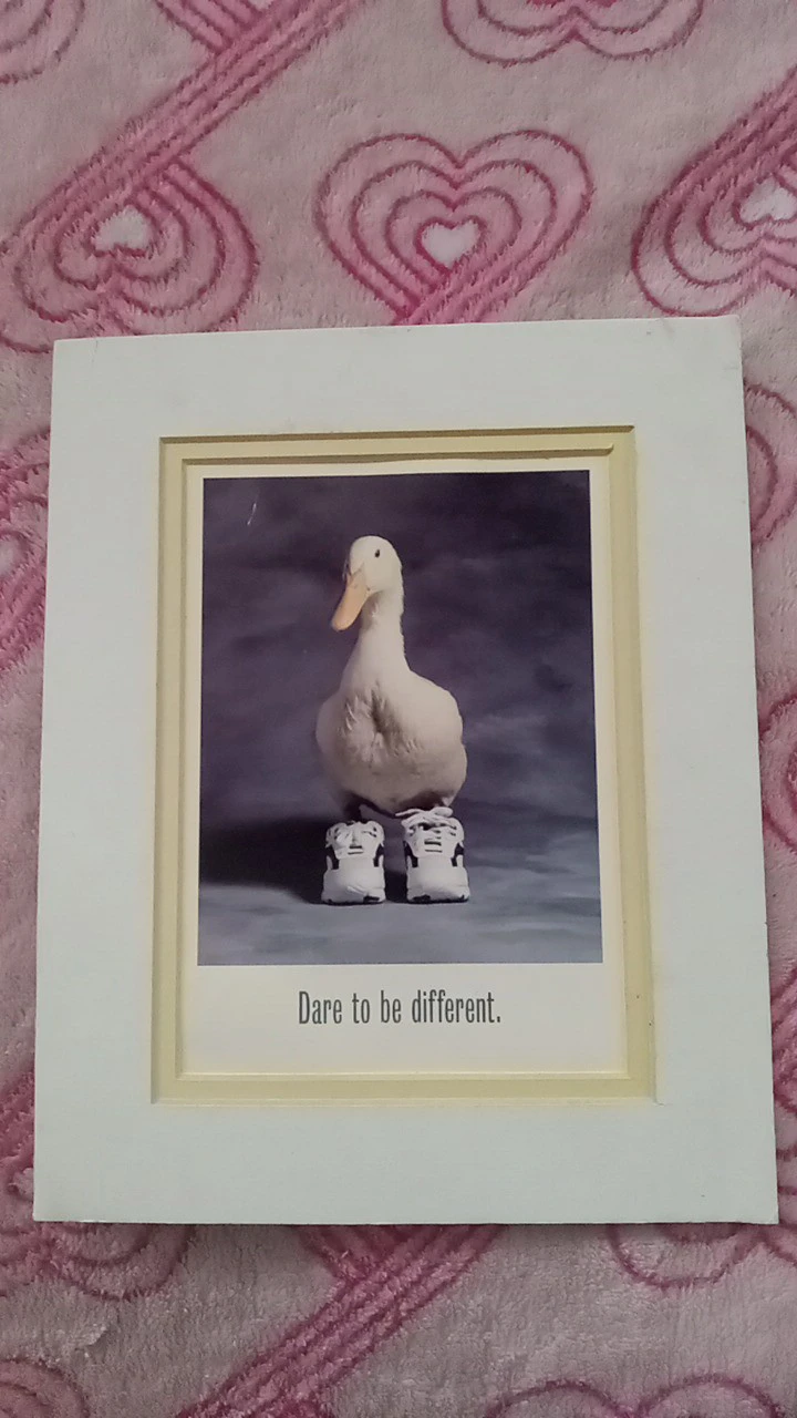 Dare to be Different framed print with Duck in sneakers