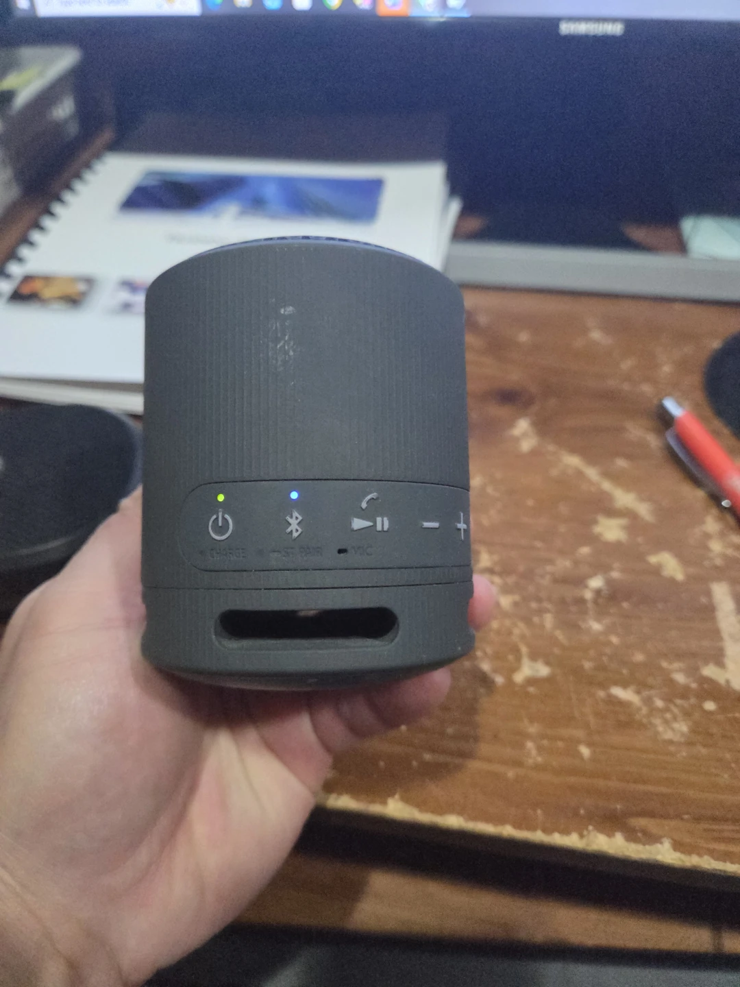 Sony Portable Bluetooth Speaker
