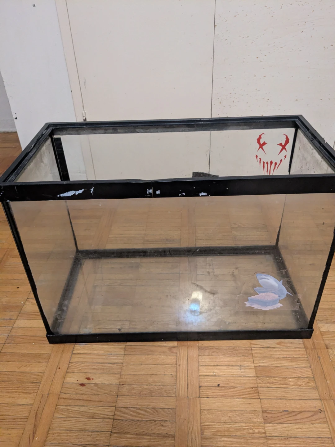 Glass Aquarium Tank