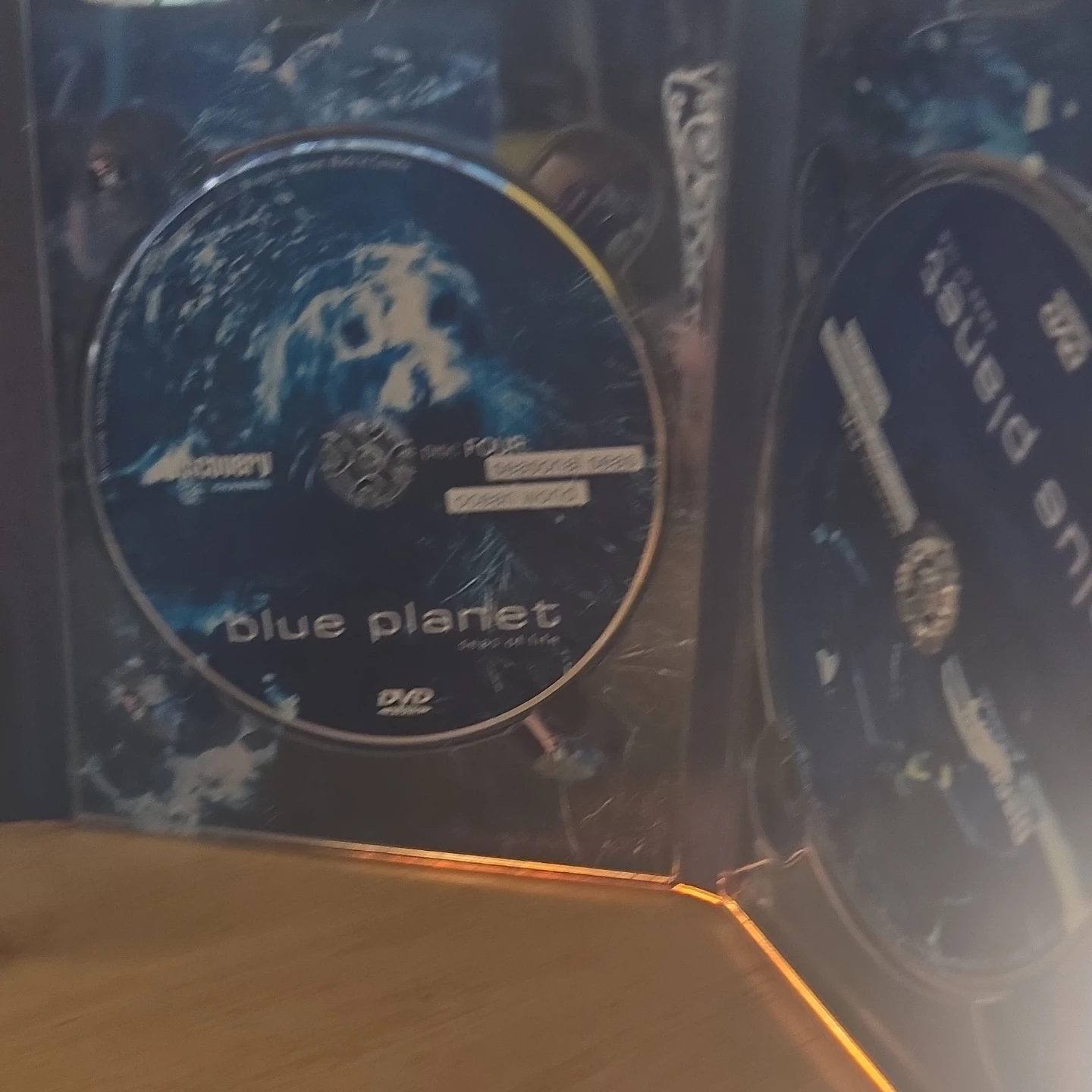 Blue Planet Seas of Life 5 DVD Collectors Edition - photo 3
