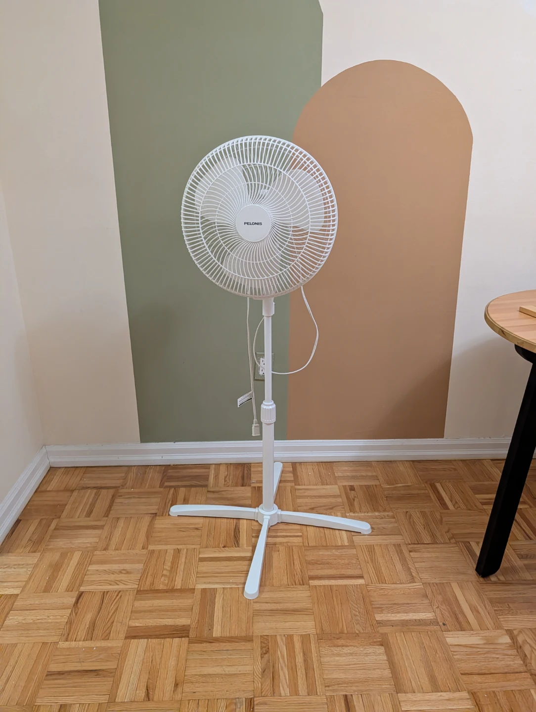 Pelonis White Pedestal Fan