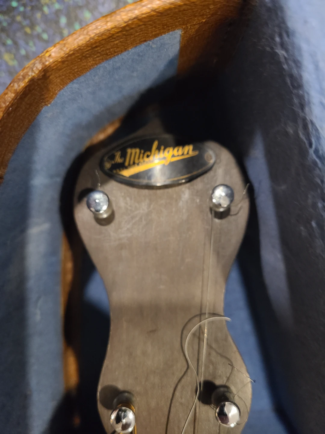 Vintage Michigan Banjo with Case and Strings - photo 3
