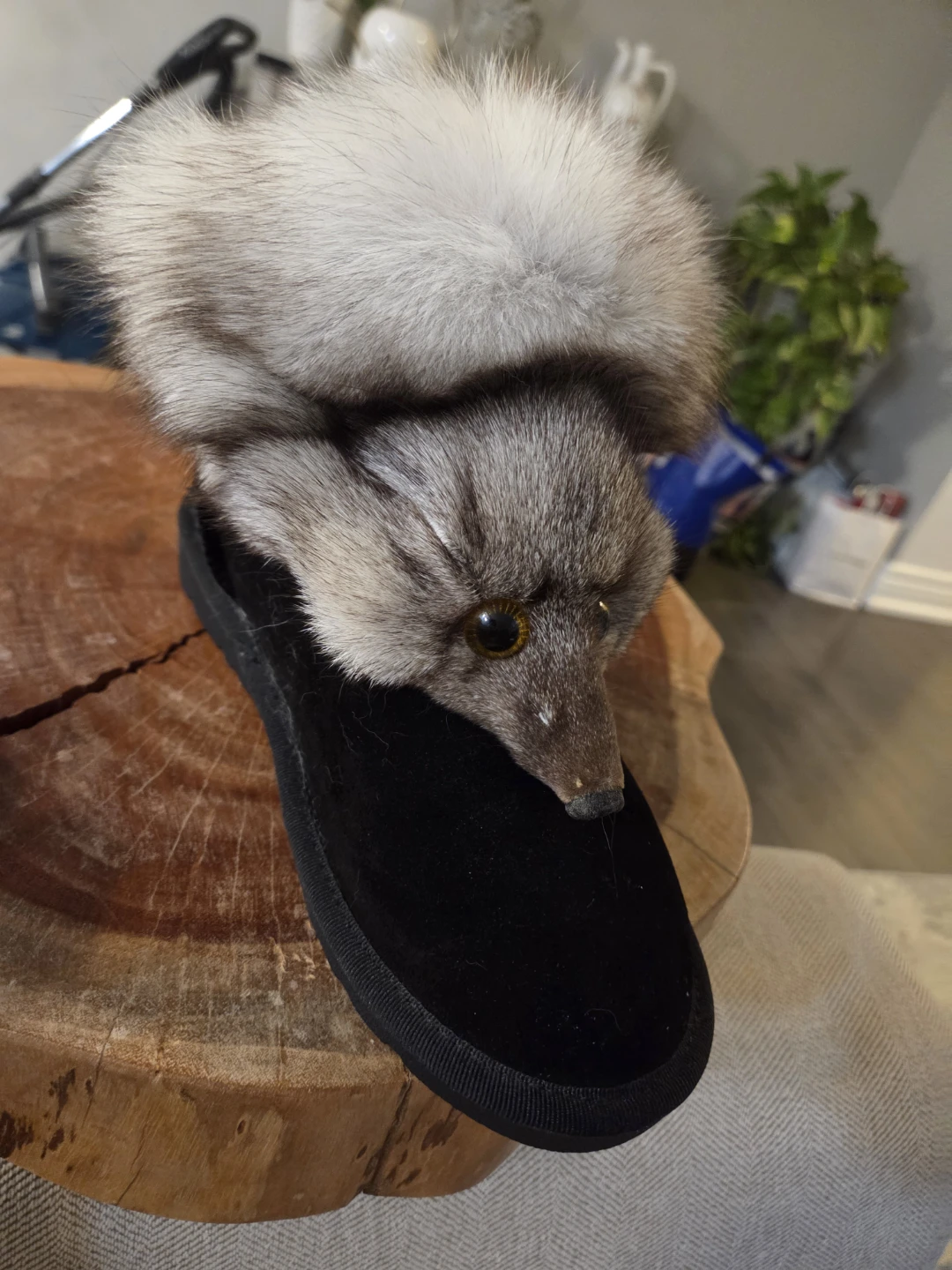 DZY Fashion Black Suede Fur Trim Boots - photo 2
