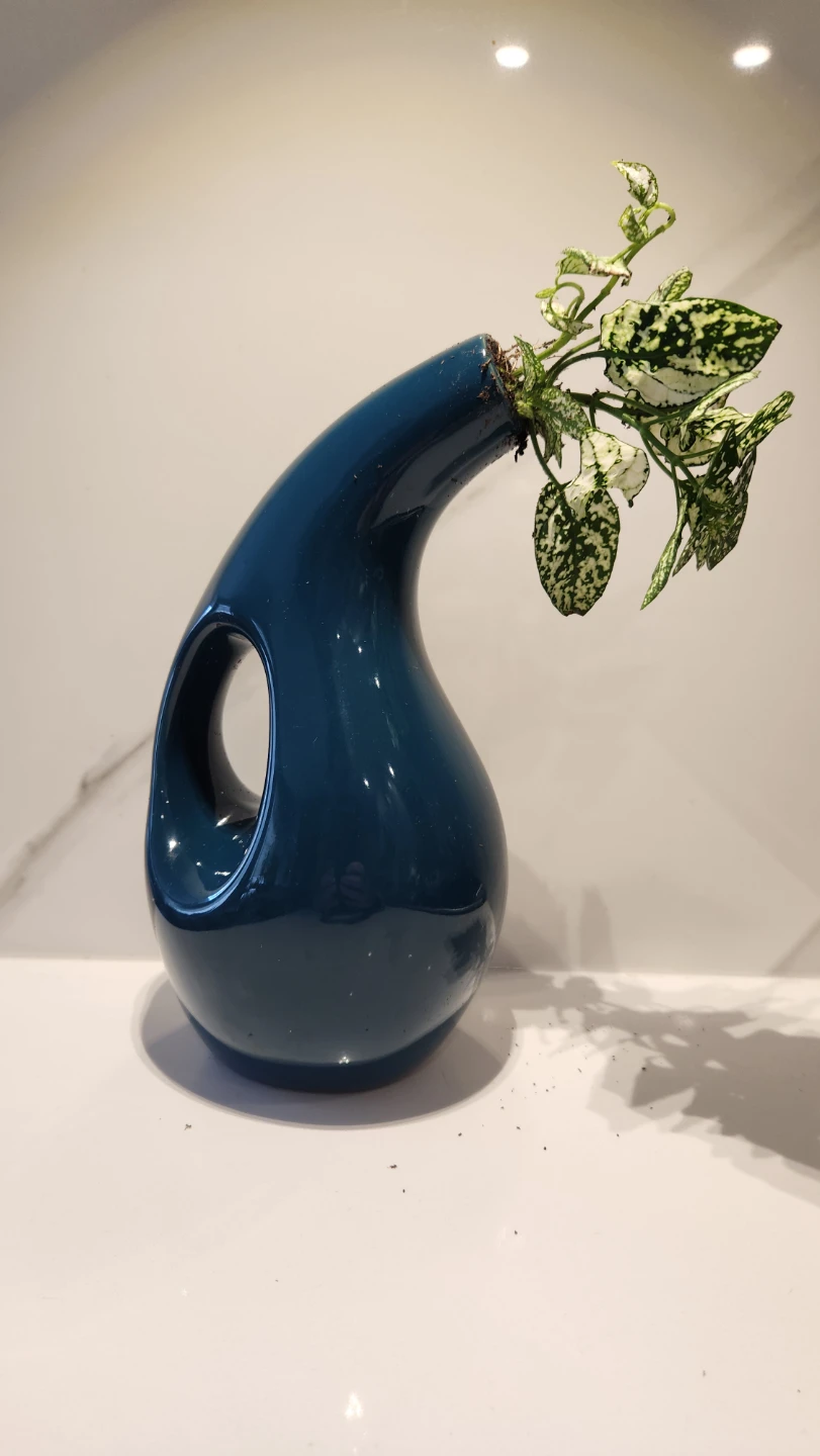 Upcycled Sculptural water jug planter with polka dot plant