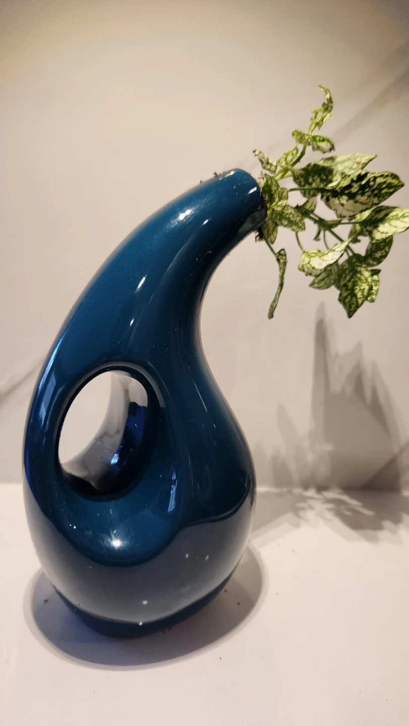 Upcycled Sculptural water jug planter with polka dot plant - photo 3