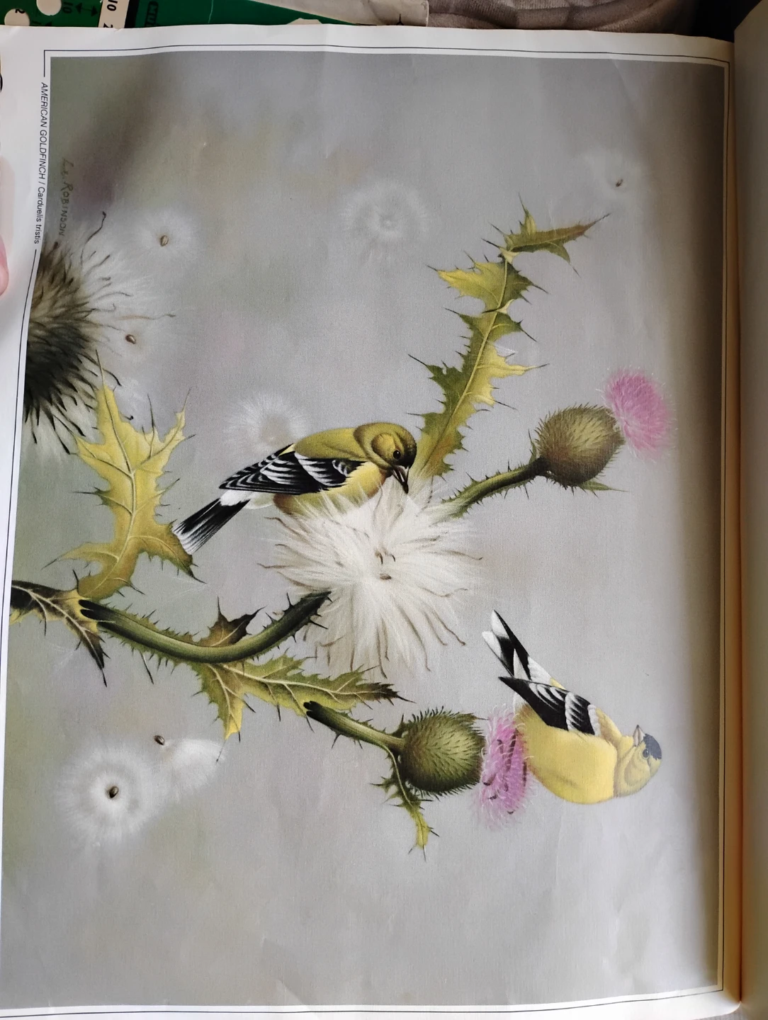 Collection of Lois E. Robinson Art Prints - photo 2