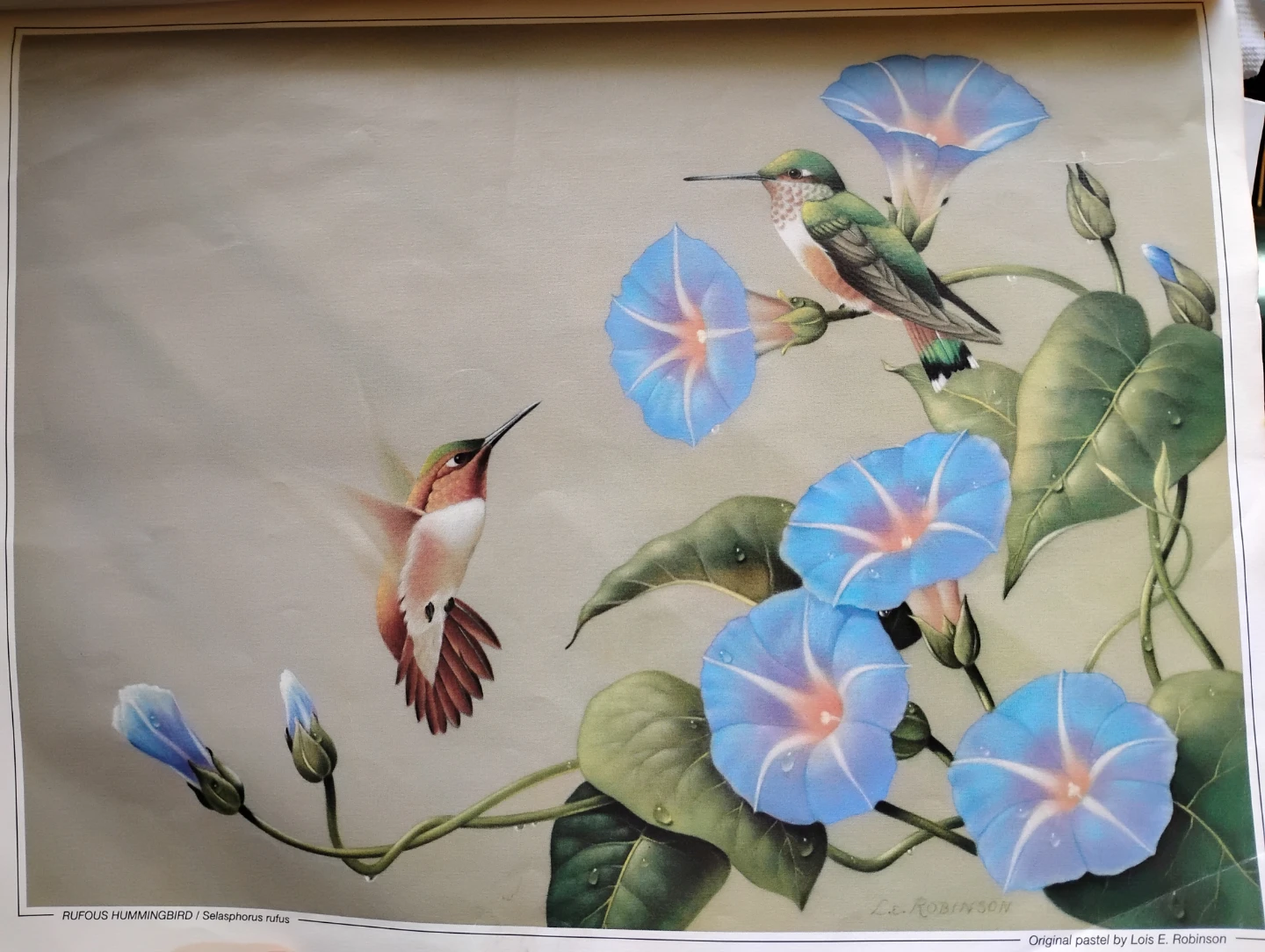 Collection of Lois E. Robinson Art Prints - photo 5