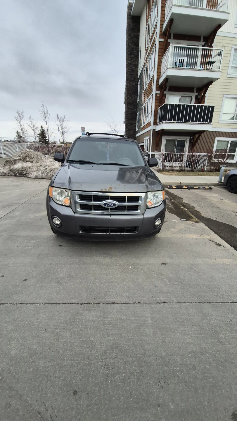 2011 Ford Escape XLT - photo 3