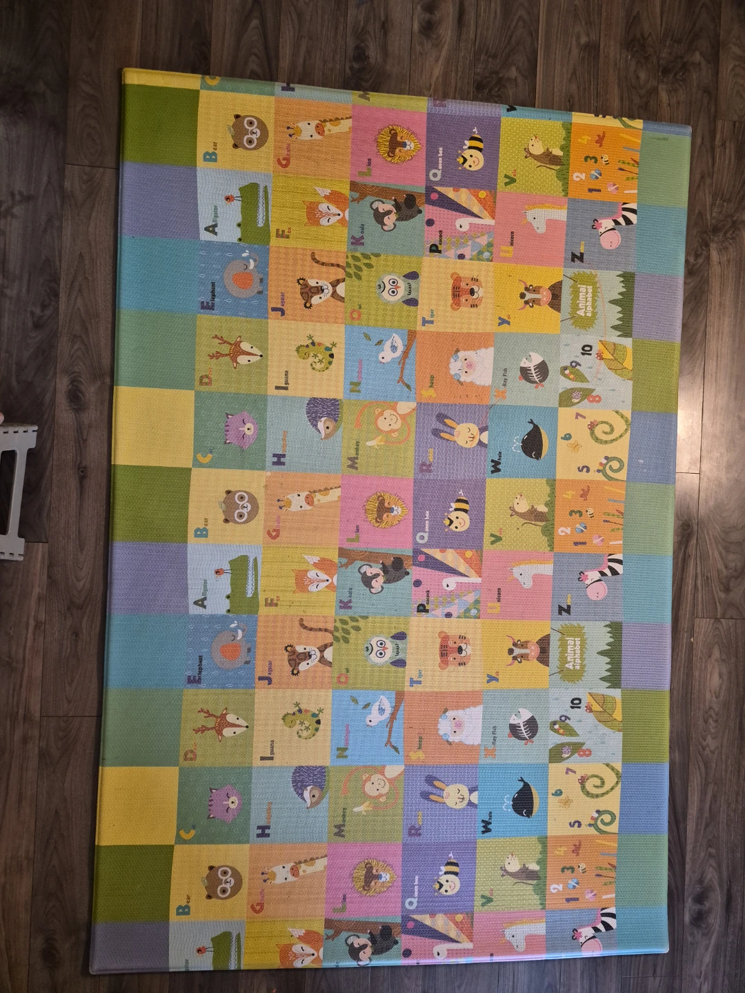 Animal Alphabet Play Mat