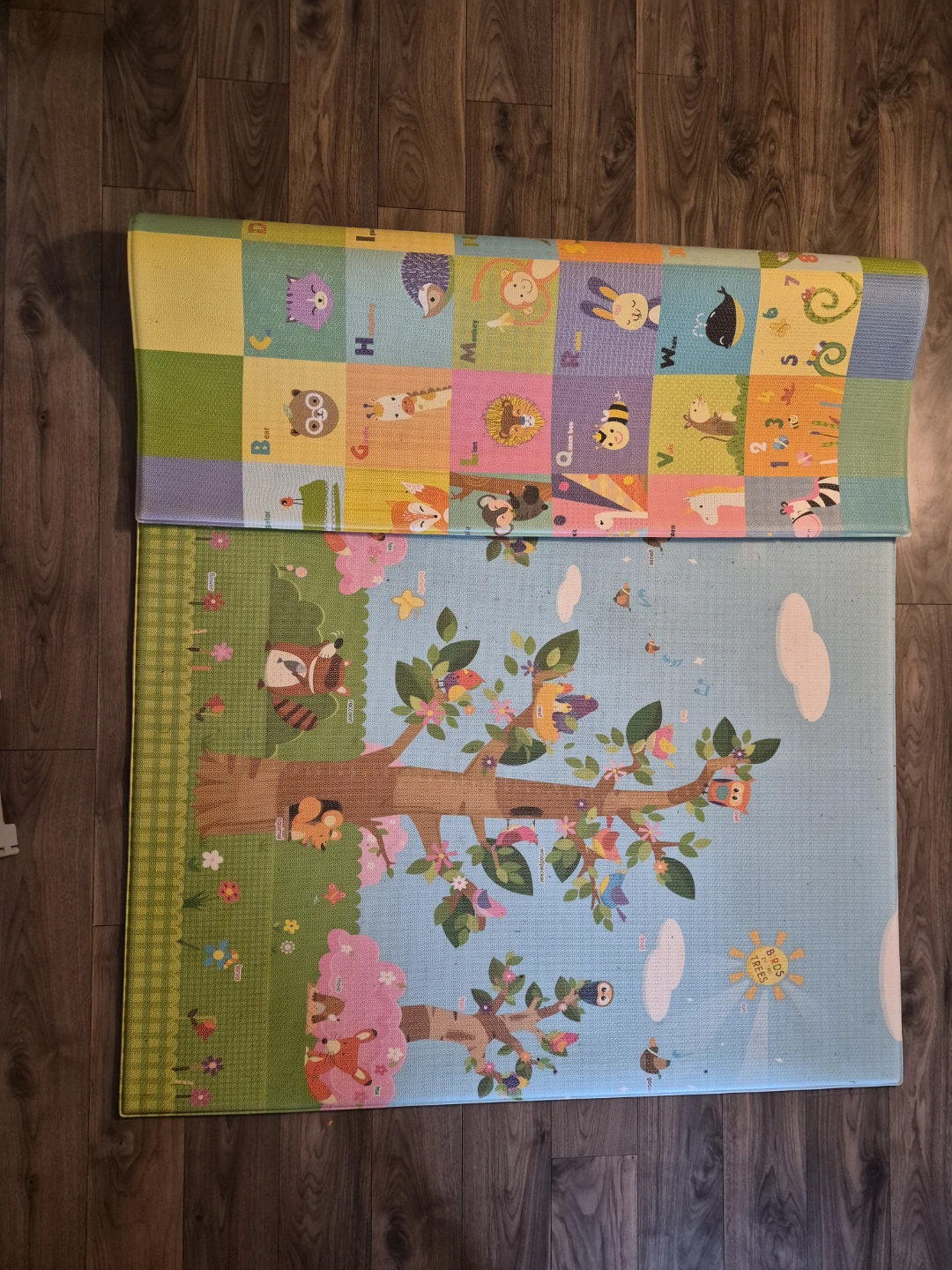 Animal Alphabet Play Mat - photo 3